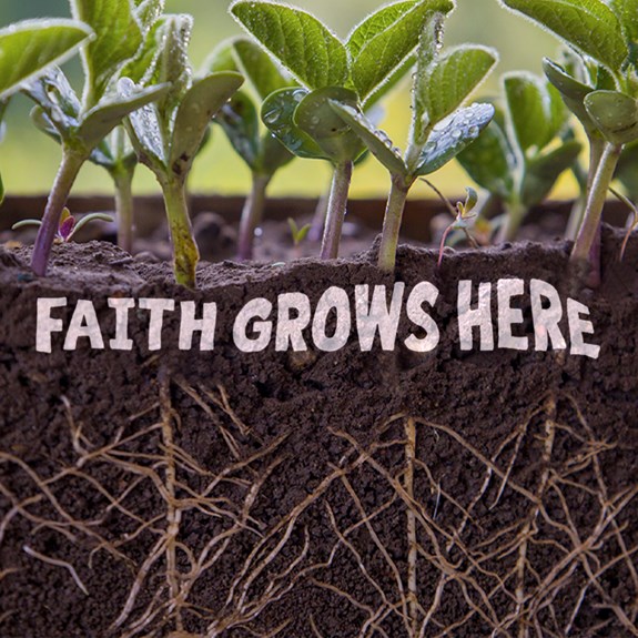 Faith Grows Here